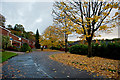 Ruskin Way in the autumn