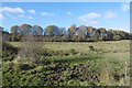 Pasture outside Paisley