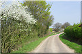 TL6116 : Lane to High Roding, Barnston and Dunmow by Robin Webster