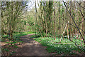 Path in Garnetts Wood