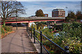 Taunton Cycle Path