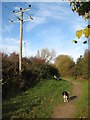 Footpath with bench and pole