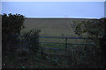 West Devon : Grassy Field & Gate