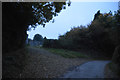 West Devon : Country Lane