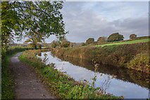 ST0013 : Grand Western Canal by Guy Wareham