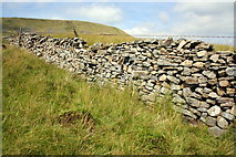SD7674 : Dry stone wall on moorland SE of Simon Fell by Roger Templeman