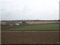 Fields at Tolroy, looking towards Killanoon