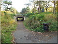 Pedestrian path and underpass, Washington