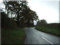 Chapel Lane, Saighton