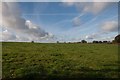 Field and footpath near Manston