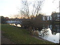 The Thames by Chertsey Bridge