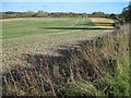 Farmland near Borough Farm