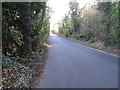 View NNW along the Greenan Road