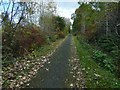 Cycle route at Whitecroft