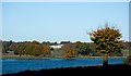 Looking across Tatton Mere and Melchette Mere towards Tatton Hall