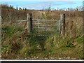 Gate beside Dougliehill Road