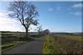 Road near Merrymouth