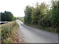 View north along Bettys Hill Road