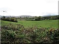 View across pasture land towards wetland from Bettys Hill Road