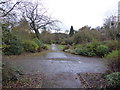 SJ8945 : Fenton Park: formal gardens by Jonathan Hutchins