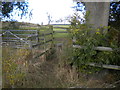 Gate and stile east of Lambley