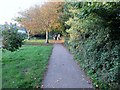 Meeting of Dog Walkers