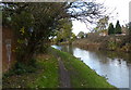 Towpath along the Dudley No.2 Canal