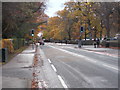 Oatlands Drive - viewed from St Winifred