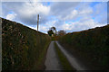 Teignbridge : Country Road