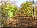 Cycle- and foot-path in East Herrington