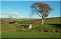 Farmland At Knockdaw