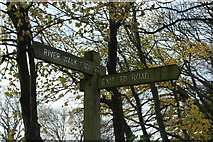 NX0882 : River Walk Signpost by Billy McCrorie