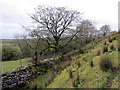 Llwybr Cefn-ucheldref / Cefn-ucheldref path