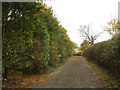 Bridleway at Slapton Hill Farm