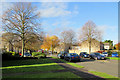 Lichfield Road: a lot of leaves gone