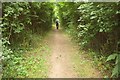 Avon Valley Path to Fordingbridge