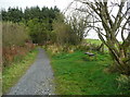 Path in Llyn Llech Owain Country Park