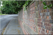 TQ5446 : South Wall to Hall Place Park by N Chadwick