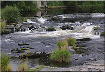 SJ2142 : The River Dee in Llangollen, Denbighshire by Roger  D Kidd