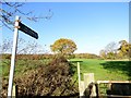 Public path off Banesley Lane