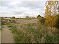 Beam Valley Country Park