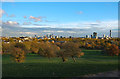 London skyline from Primrose Hill, Camden