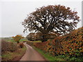 Minor road on Barton Hill