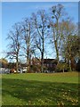 Bare trees by Pershore Abbey