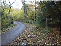 Footpath leaves Buncton Lane by sharp bend