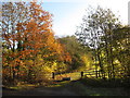 Field entrance near Great Triley