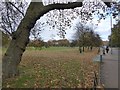 The southern edge of Clapham Common