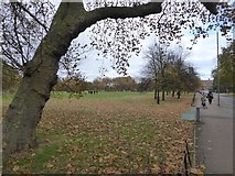 TQ2874 : The southern edge of Clapham Common by David Smith