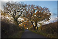 Autumn, Red Hall Lane