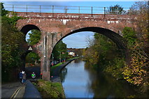 SO8555 : Railway bridge over Worcester and Birmingham Canal by David Martin